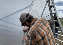 person putting cover on high tunnel frame