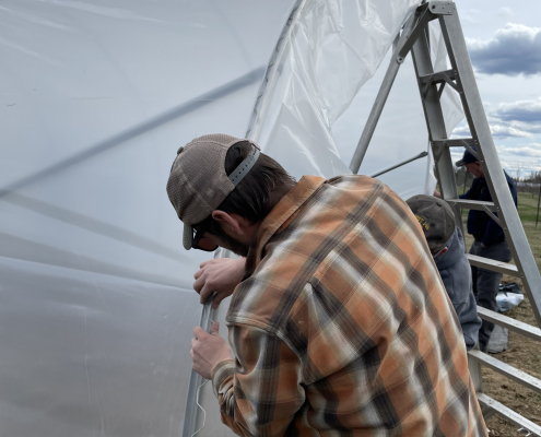 person putting cover on high tunnel frame