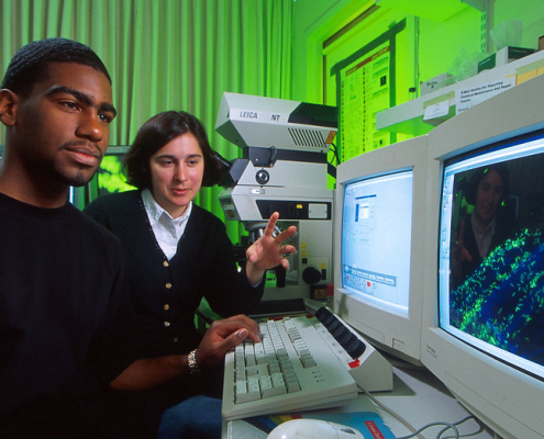 two people seated, looking at a computer display screen
