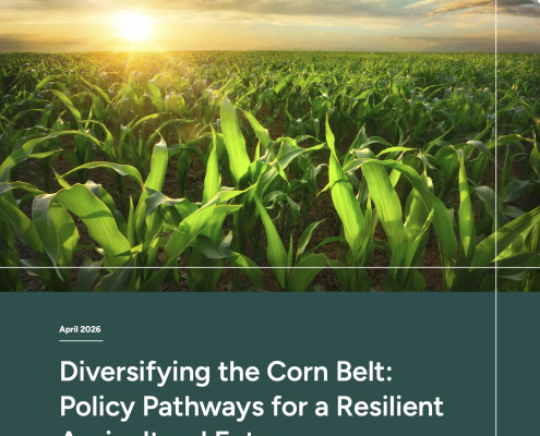 cover of Diversifying the Corn Belt, photo of field with low sun