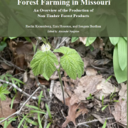 Cover of Forest Farming in Missouri with seedling on forest floor