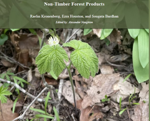 Cover of Forest Farming in Missouri with seedling on forest floor